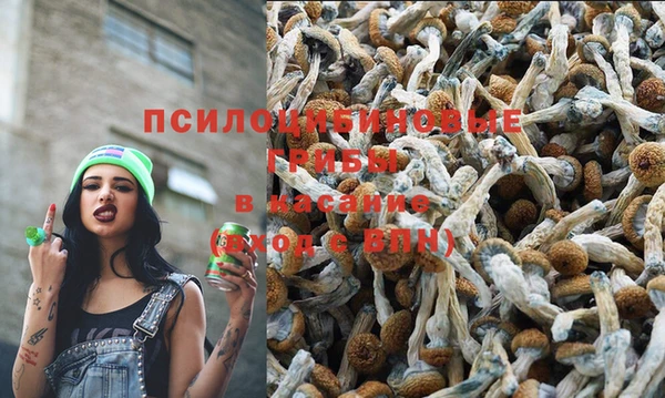 ALPHA PVP Алзамай