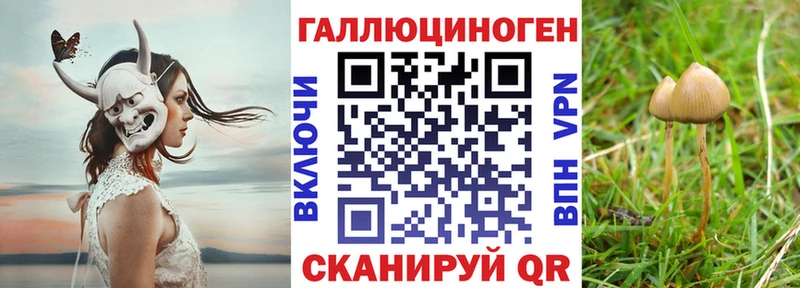 Псилоцибиновые грибы мицелий  Лебедянь 